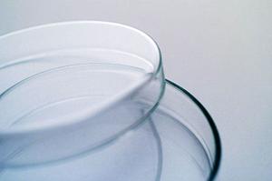 学芸大学から歩いて行ける歯医者