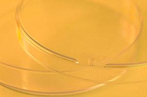 歯医者選びのポイント！松阪市であなたのニーズに合った歯科医院を見つけよう