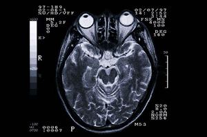 家族で通える！六町の歯医者を徹底比較 – 安心・無痛治療と予防歯科の選び方