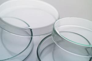 女性に嬉しい正常分娩保険について