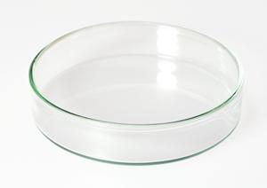 予防歯科外来がある緑区の歯医者