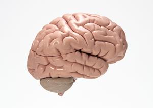 伊丹市で矯正治療をする前の注意