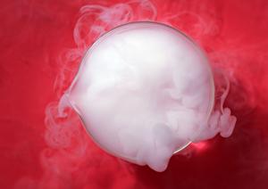 春日市の歯医者選びのポイントを徹底解説！【必見の予防歯科情報も】