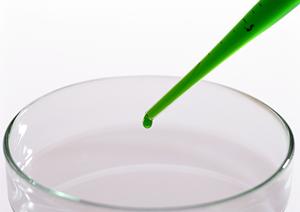 川崎で糖尿病治療に強い医療機関