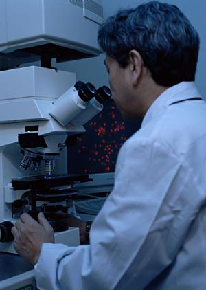 2026年最新！京都の泌尿器科を選ぶポイントとおすすめ医院完全ガイド