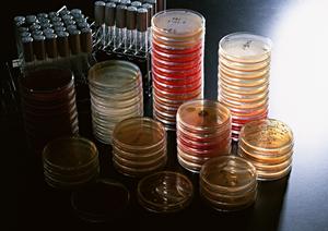 うつ病でお困りの方には小倉のクリニック