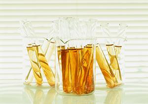 家族で通いやすい！伊賀市の無痛治療と予防歯科を提供するおすすめ歯科医院ガイド